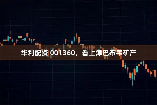 华利配资 001360，看上津巴布韦矿产