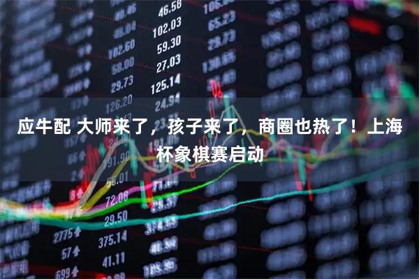 应牛配 大师来了，孩子来了，商圈也热了！上海杯象棋赛启动