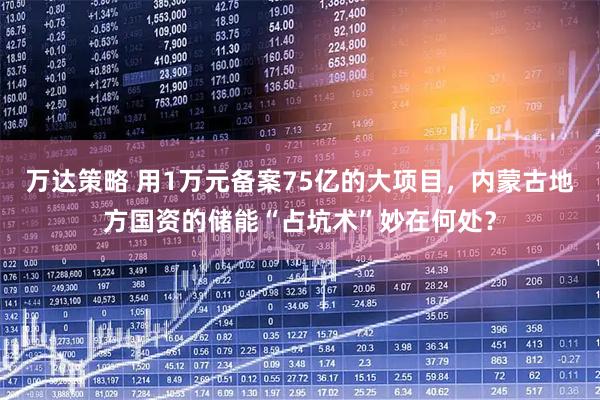 万达策略 用1万元备案75亿的大项目，内蒙古地方国资的储能“占坑术”妙在何处？